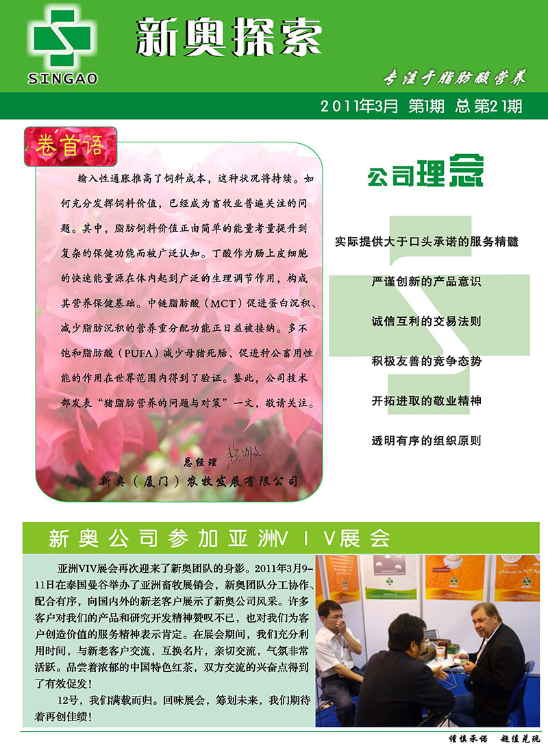 2025新澳正版今晚资料,词语释义、专家解析解释与落实与警惕虚假宣传